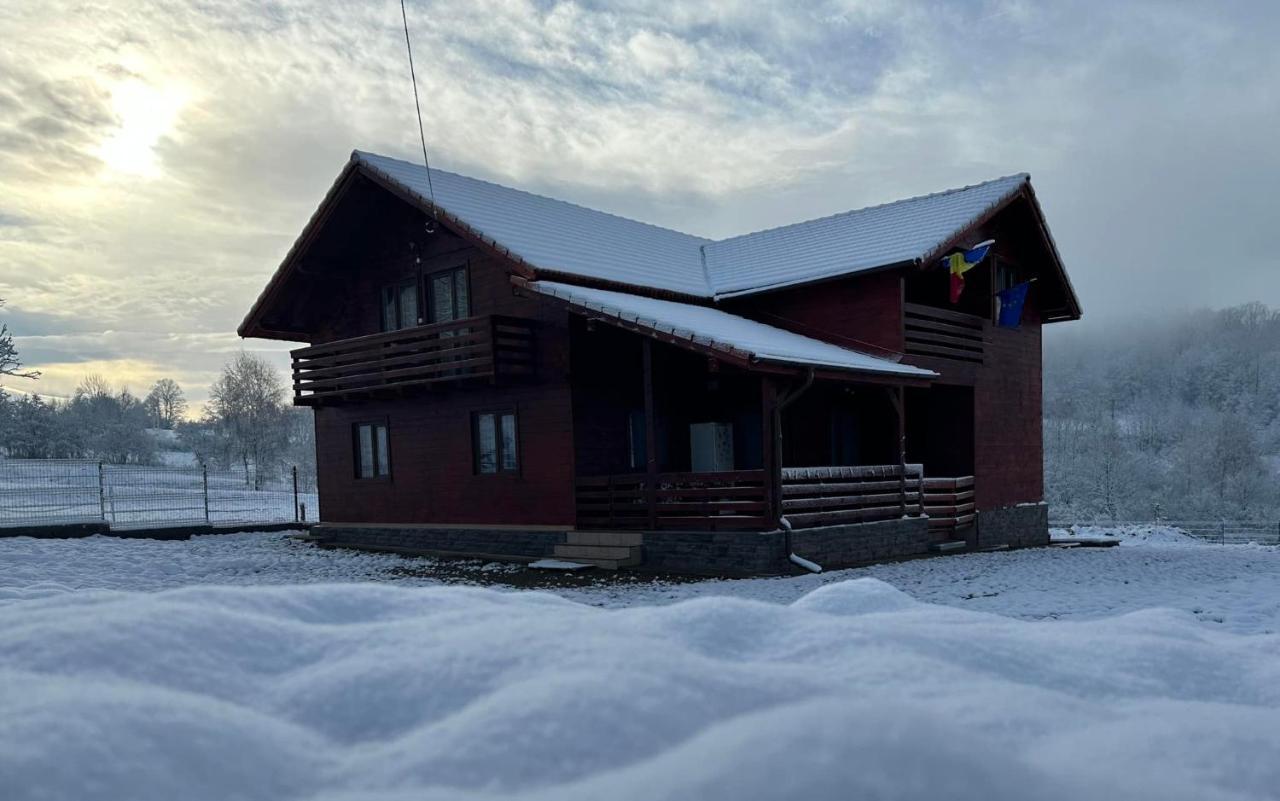 Pensiunea Geea Hondol Exterior photo
